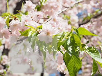 家暴致死定罪是虐待罪還是殺人罪？